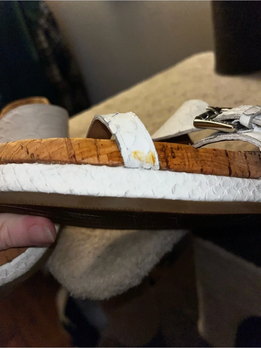 Coach support look slides